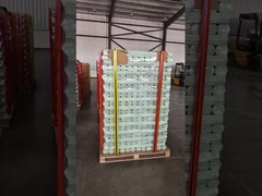 10mm Fiberglass Plant Support Stake